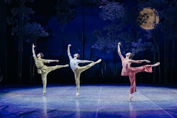 在线配资炒股网 图集｜“中国式浪漫”绽放舞台！上芭《百合花》用足尖演绎质朴真情